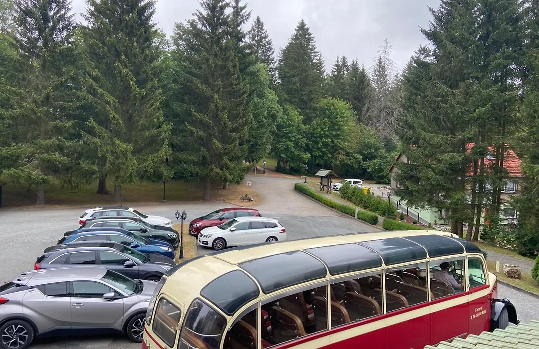 waldhotel AUSZEIT-1