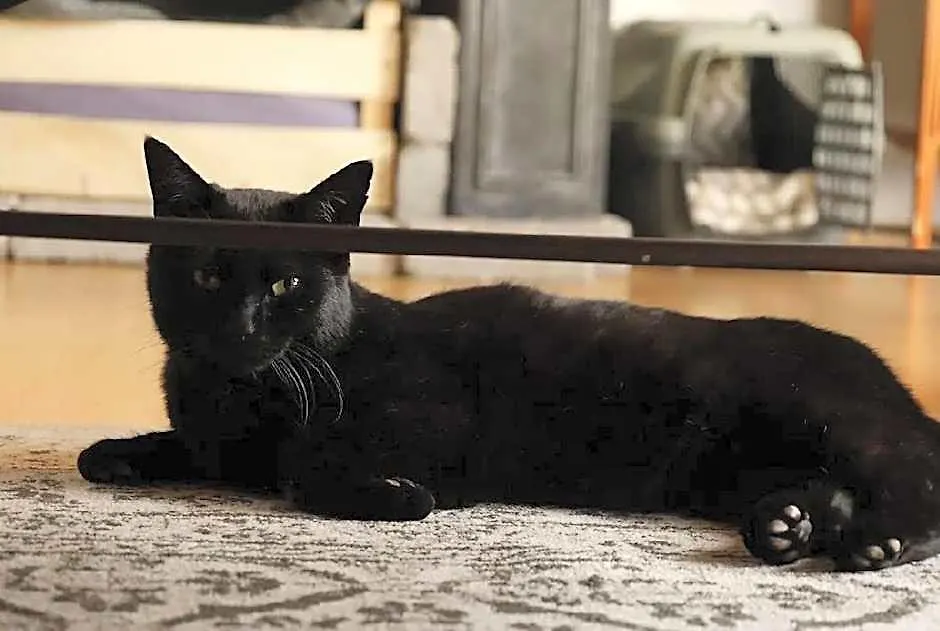 Eldey Airport Hotel-1