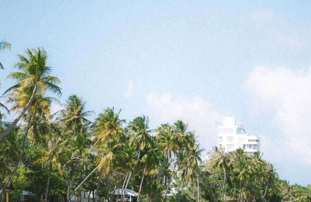 Dhiffushi Inn-1