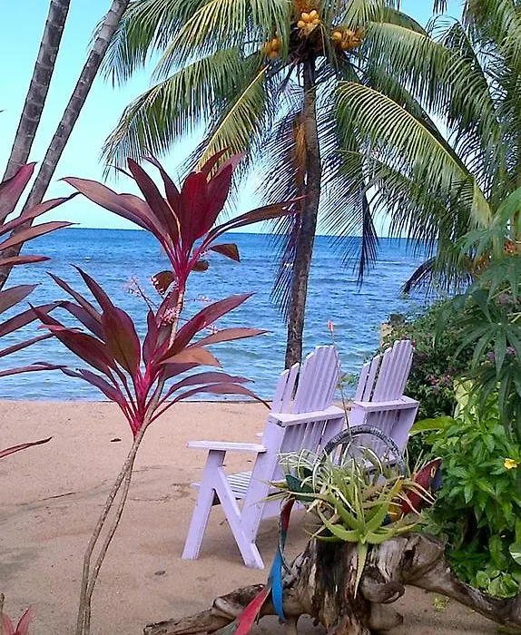Veranda View Guesthouse-1
