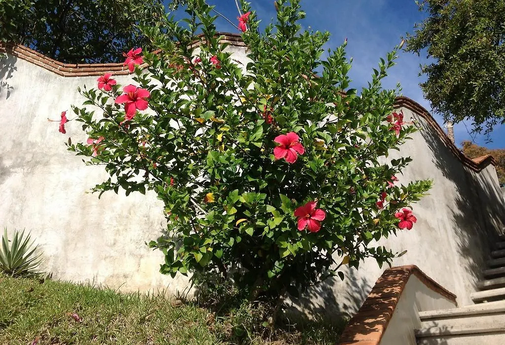 Casa Flor De Mar-1