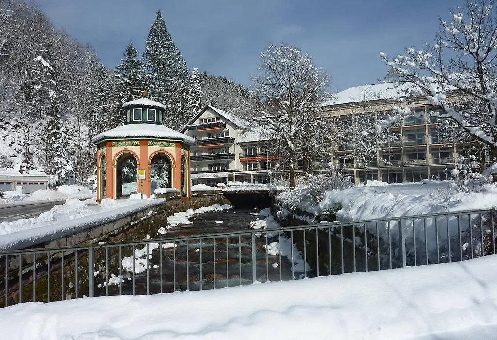 GesundheitsHotel Das Bad Peterstal-1