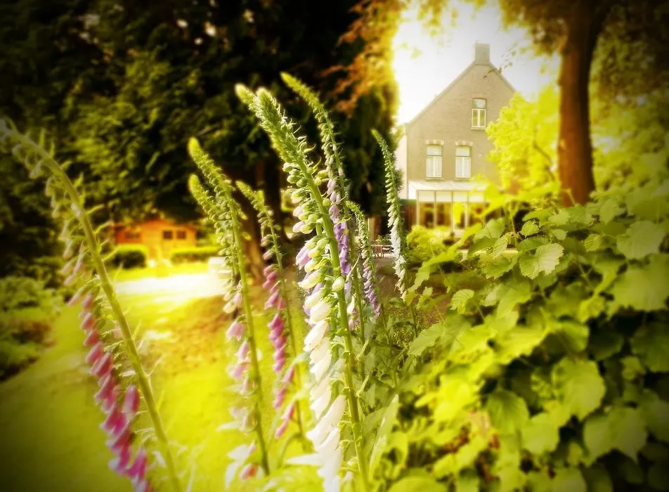 Hotel Beukenhorst-1