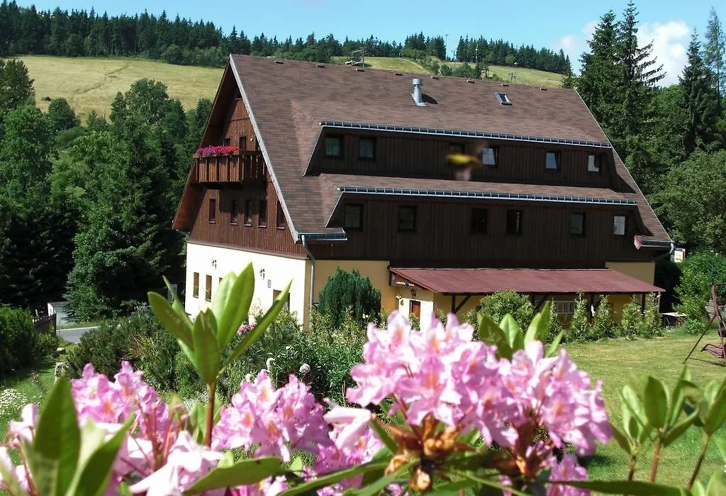 Pension Hela-1