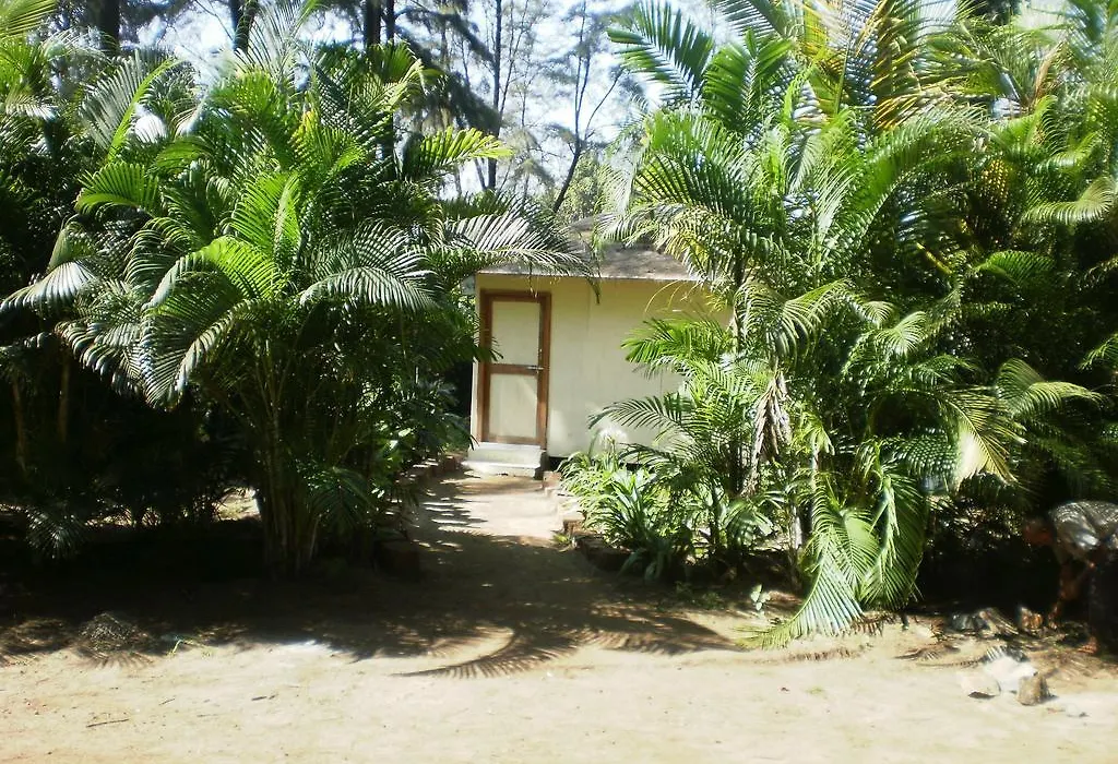Exotica Beach Cottages-1