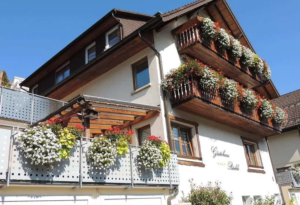 Gästehaus und Ferienwohnung Bächle-1