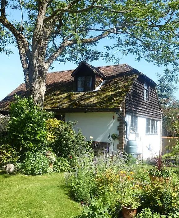 Strawberry Cottage B&B-1