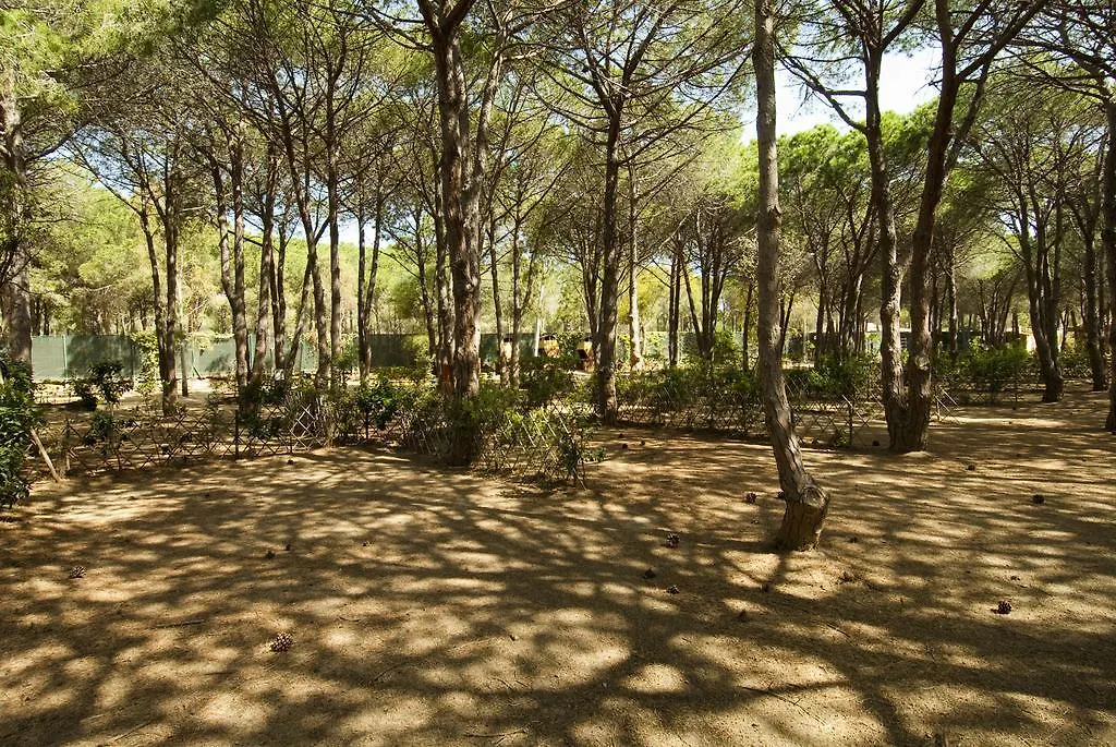 Villaggio Camping Spiaggia Del Riso-1