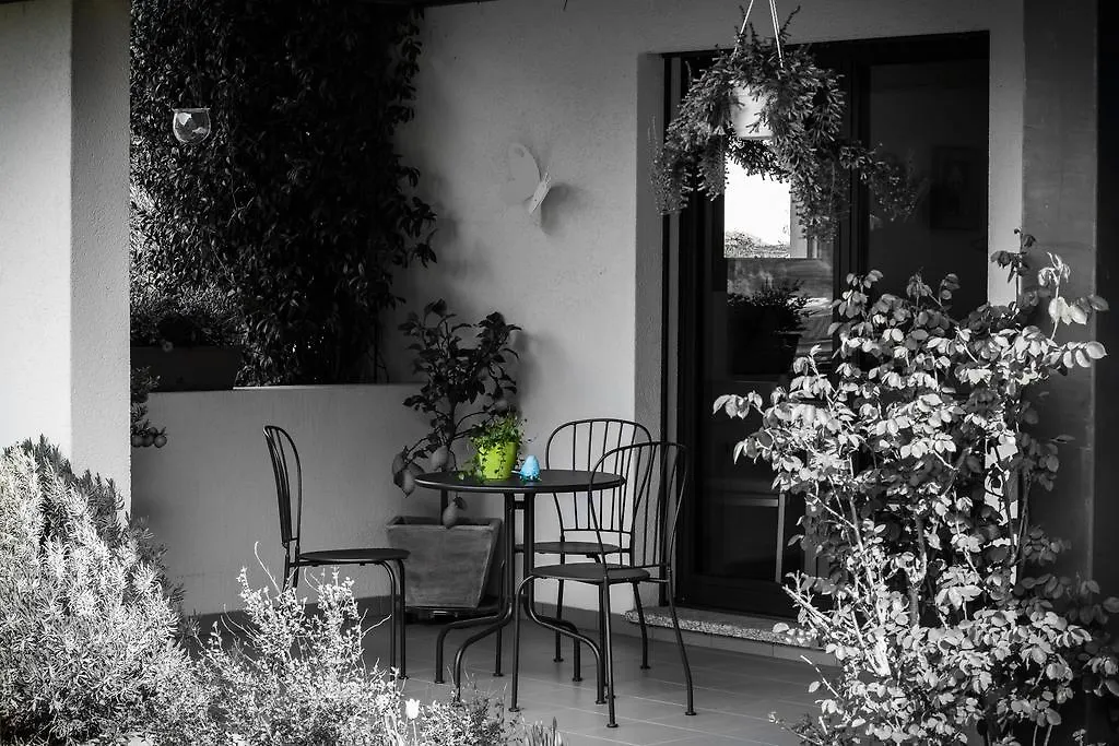 B&B Il Vigneto-1