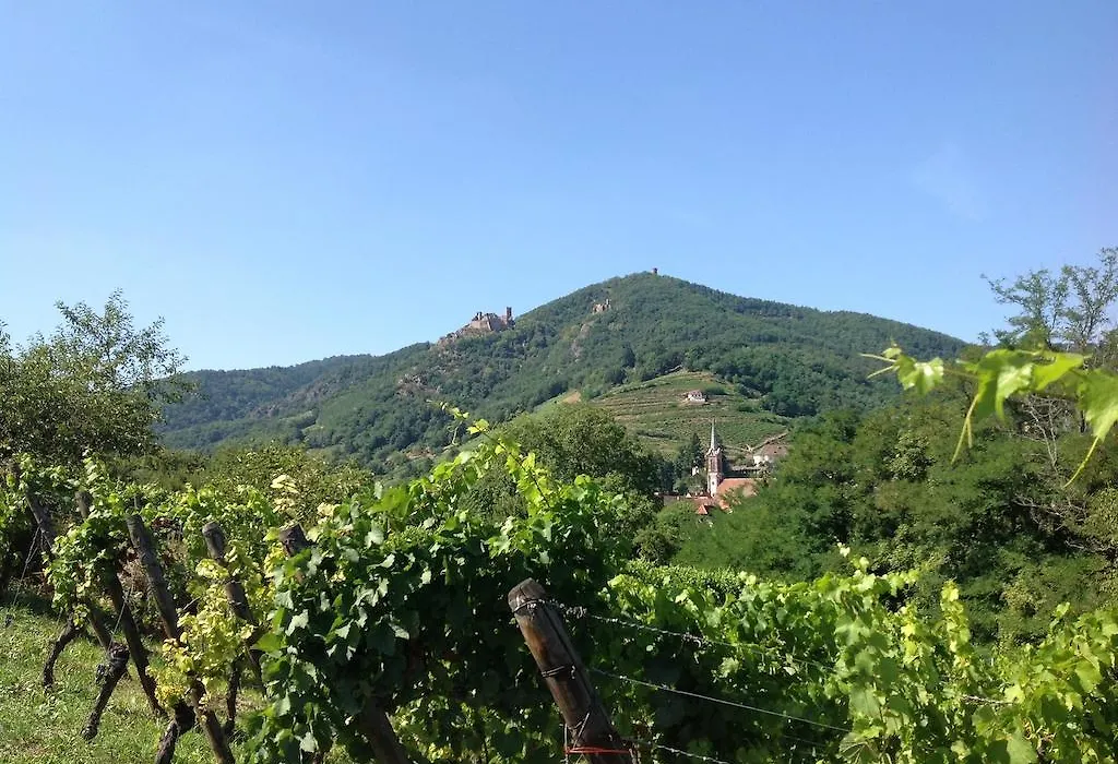 Domaine Jean Sipp-1