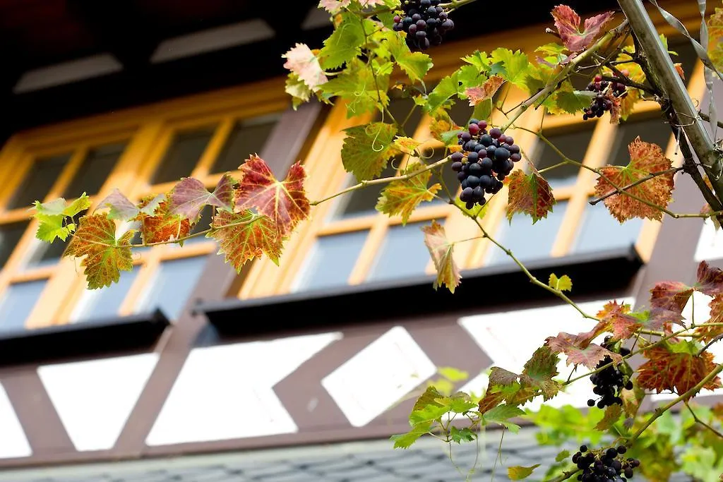 Landgasthof Rebstock-1