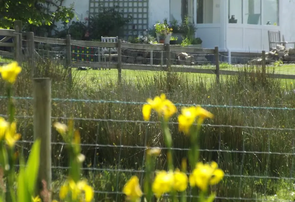 The Swallows Guest House-1
