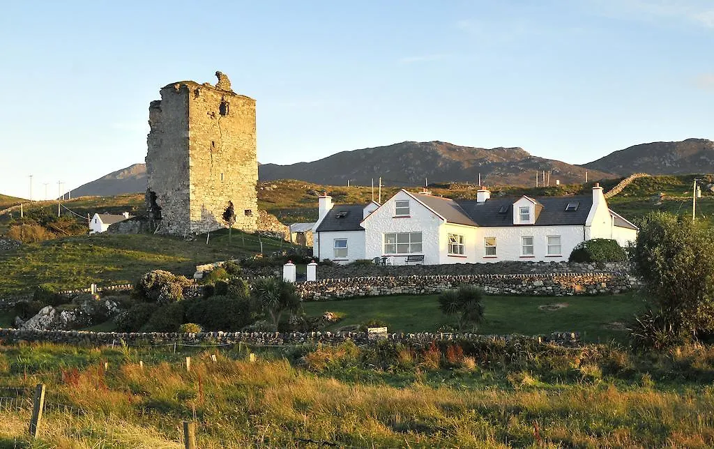 The Olde Castle B&B-1