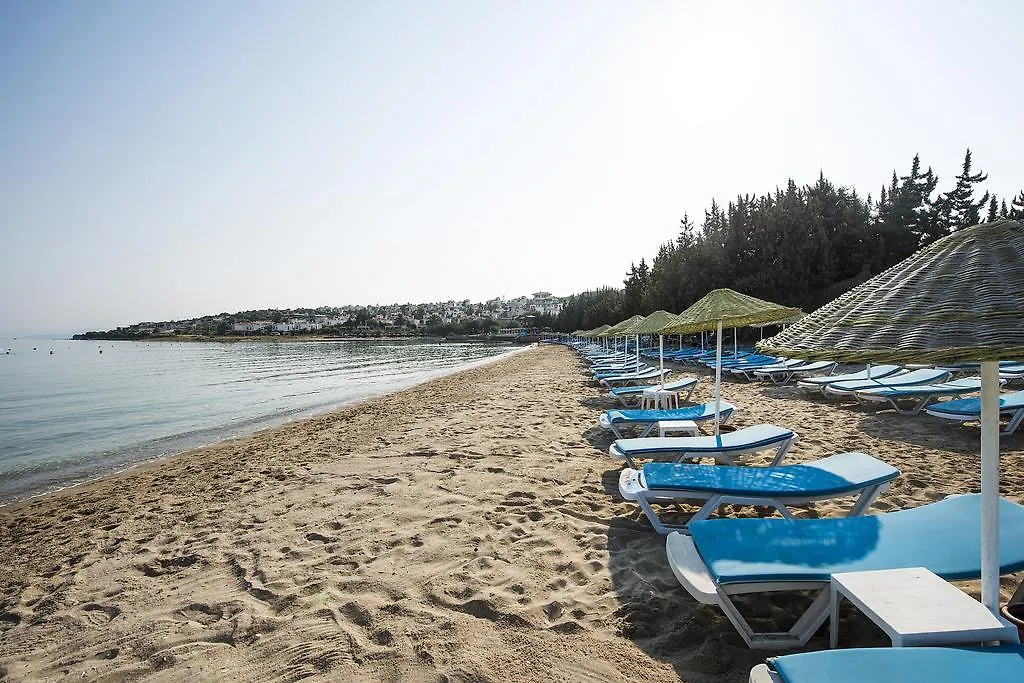 Altin Yunus Apart Beach Plus-1