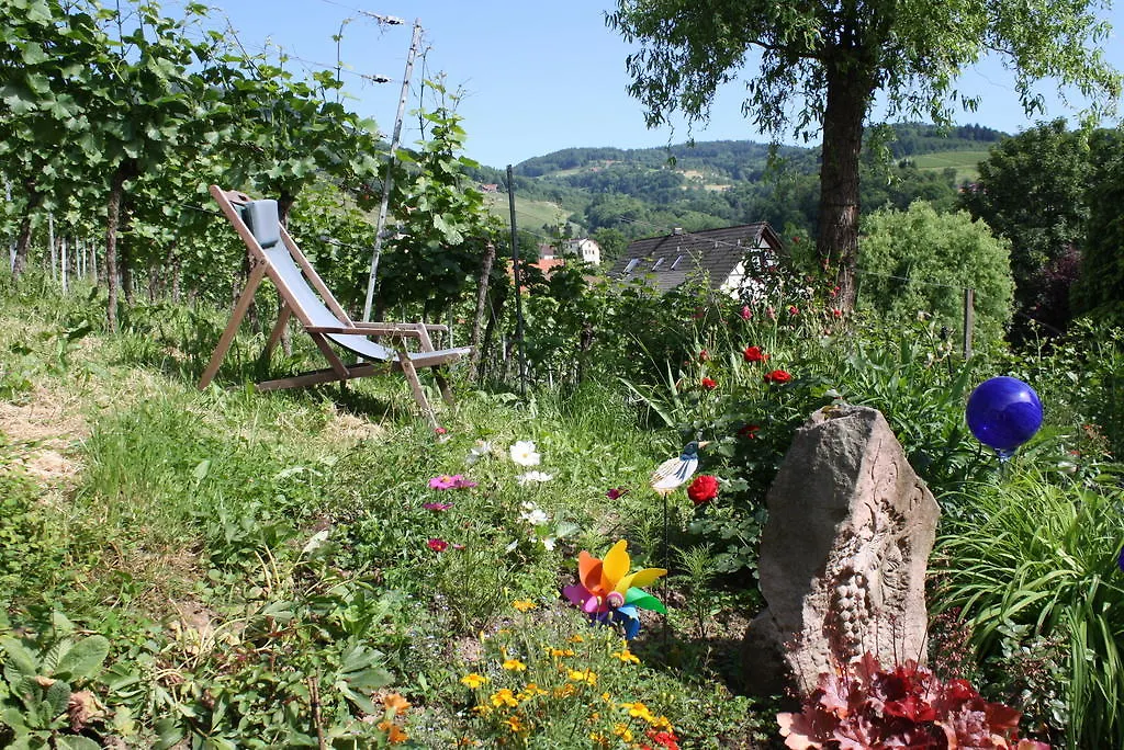 Pension am Weinberg-1