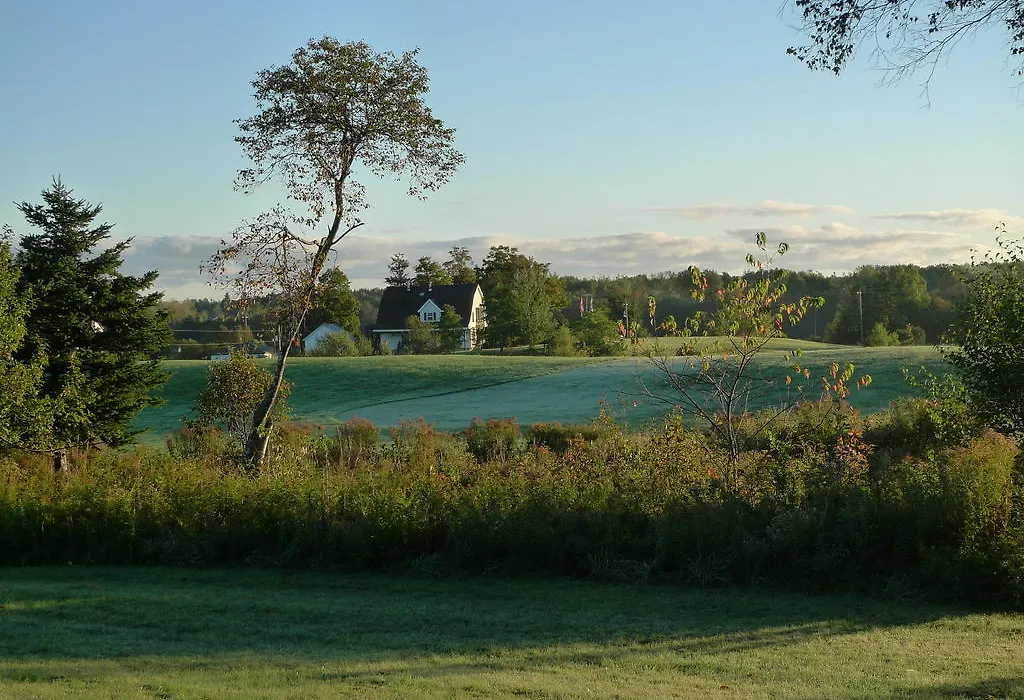 Forest Haven Inn-1