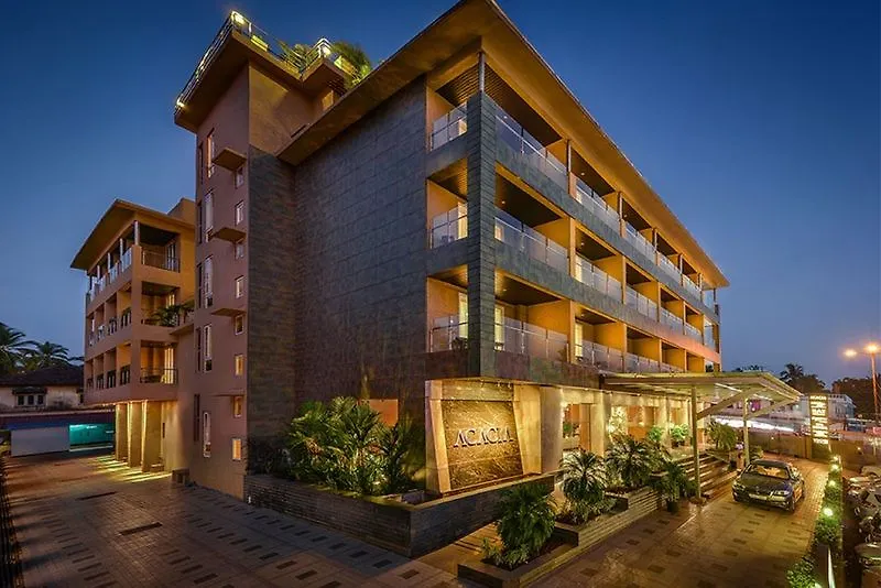 Acacia Goa-1