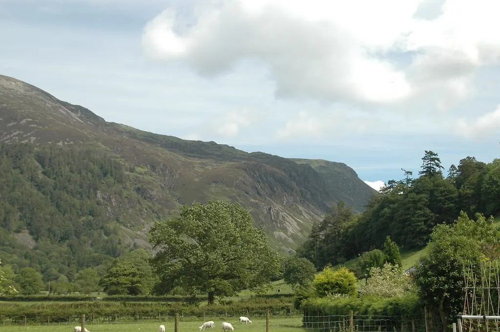 Dolffanog Fawr-1