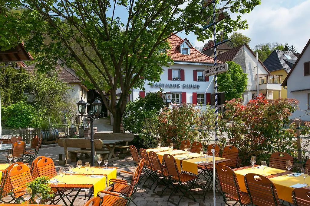 Zur Blume Hotel & Restaurant Efringen-Kirchen Bei Basel-1