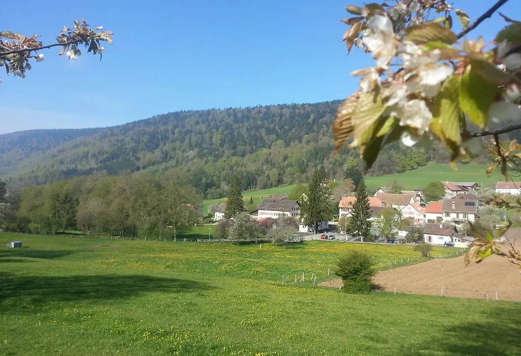 Hotel Du Chasseur-1