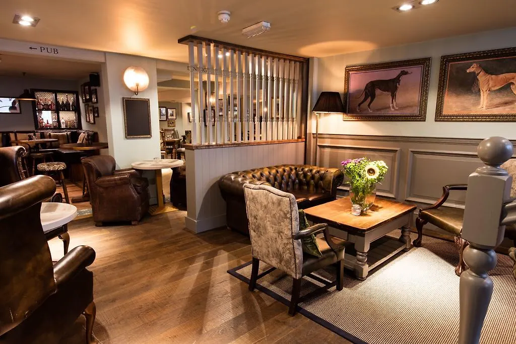 Greyhound Hotel-1