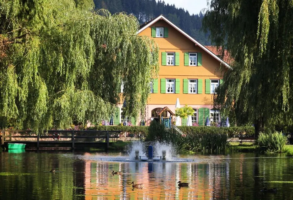 Hotel Zur Alten Muehle-1