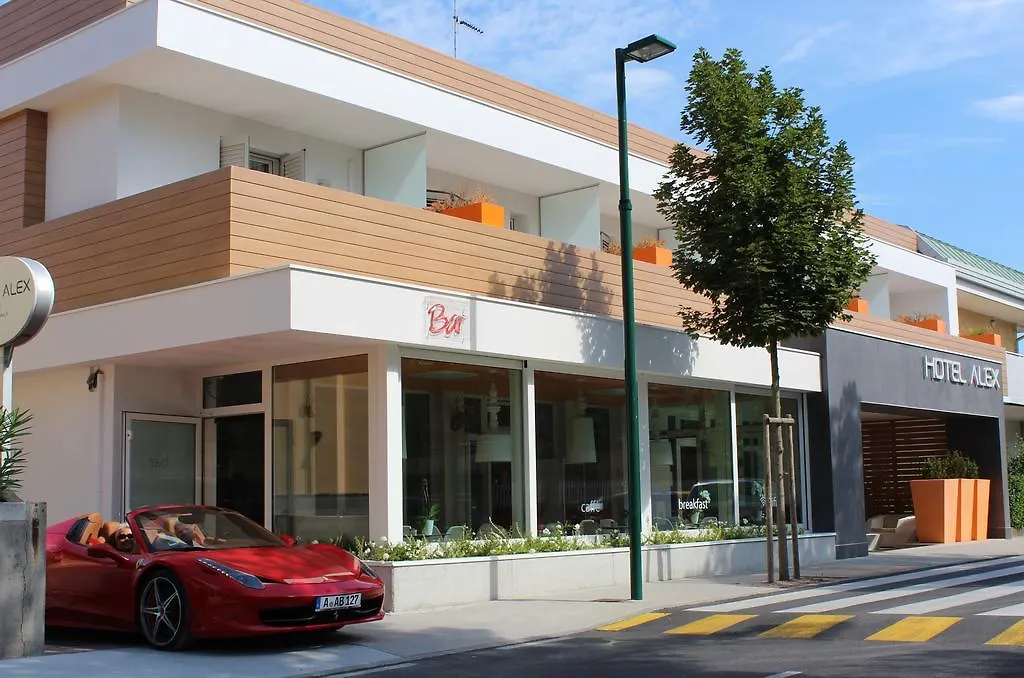 Hotel Alex-1