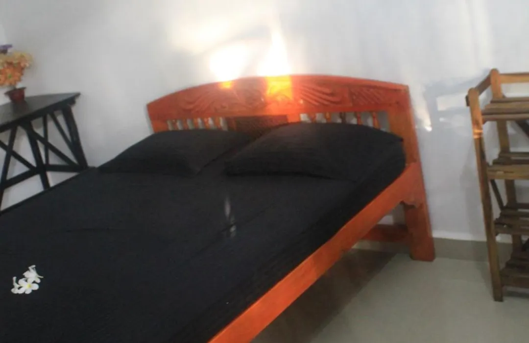 Cactus Guesthouse-1