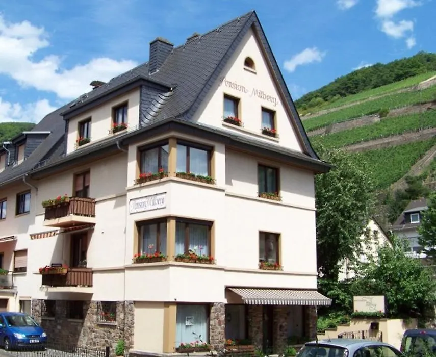 Pension Milberg Assmannshausen-1