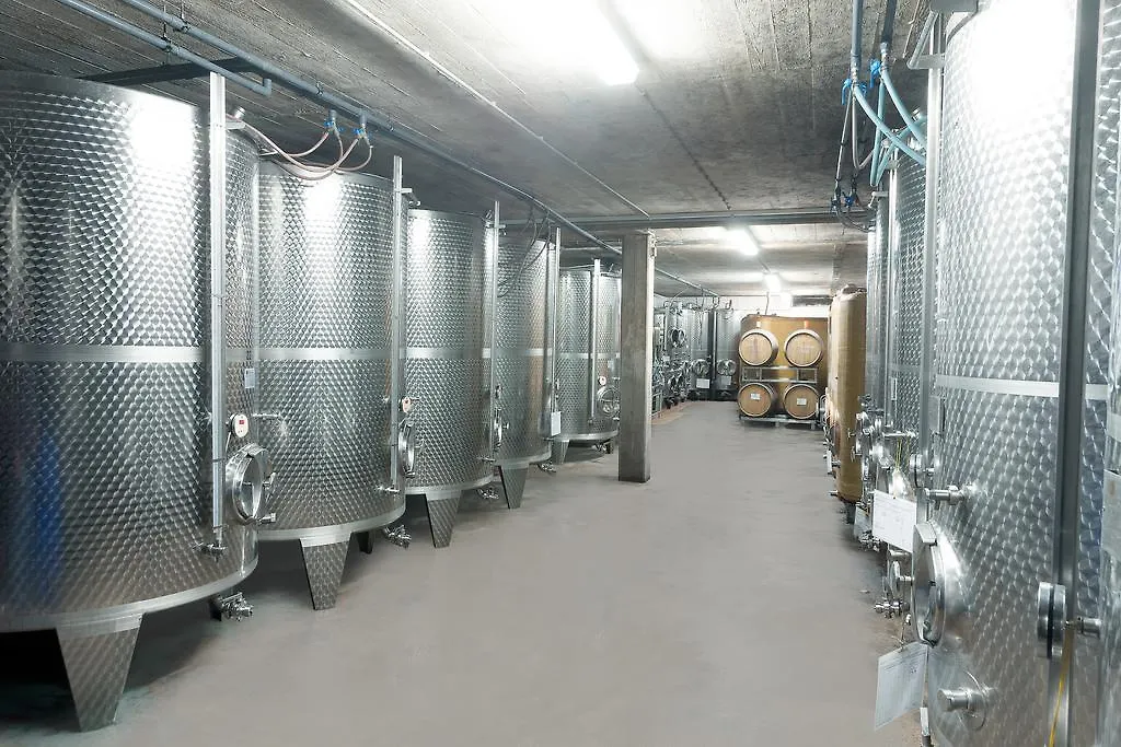 Pension und Weingut Moselblick-1
