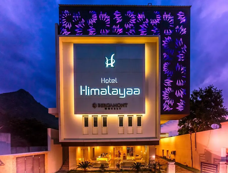 Hotel Himalayaa-1