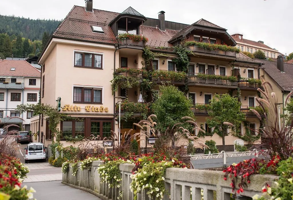 Hotel Restaurant Alte Linde-1