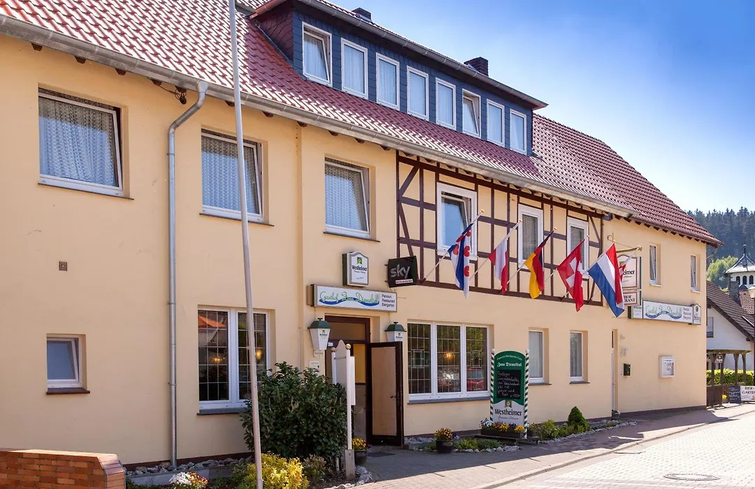 Gasthof Zum Diemeltal-1
