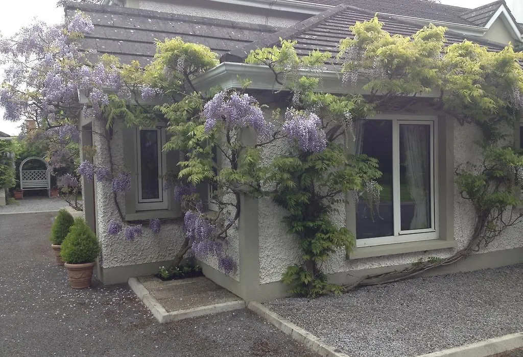 Sea Dew B&B-1