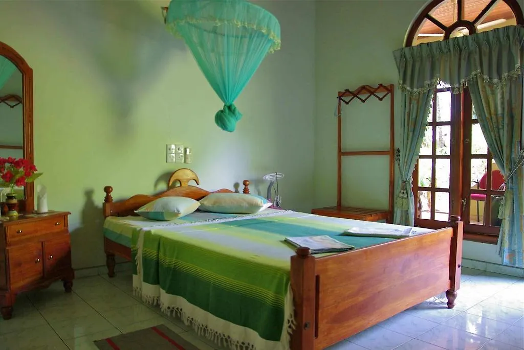 Elephant Camp Guest House-1