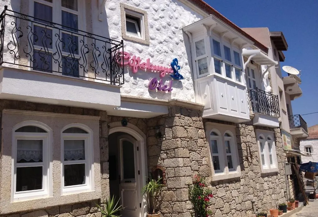 Ciftekuyu Hotel-1