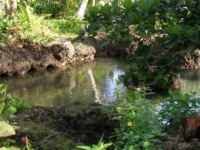 Piscina Natural On The Sea-1