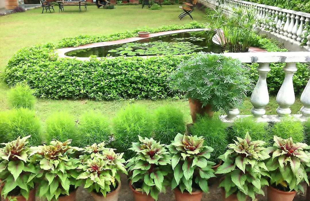 Hotel Jai Niwas-1