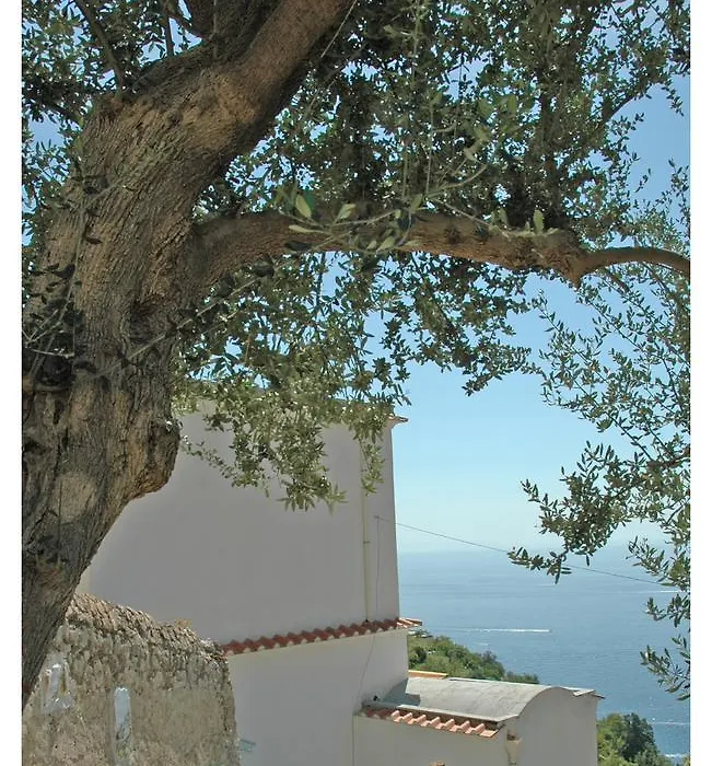 Al Poggio Antico-1