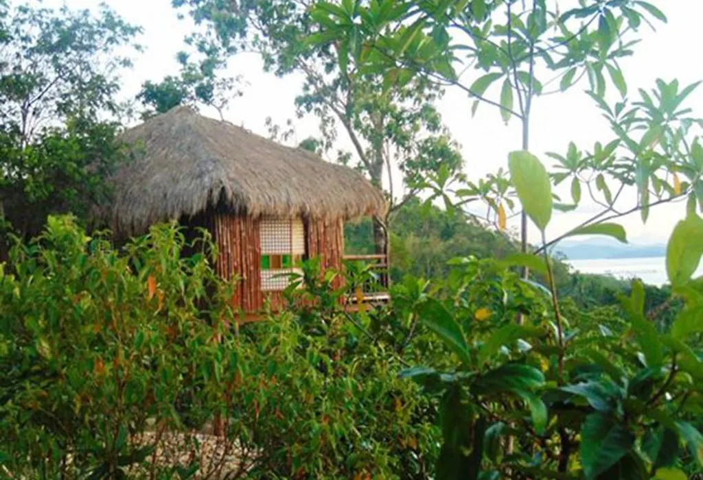 Sanctuaria Treehouses-1
