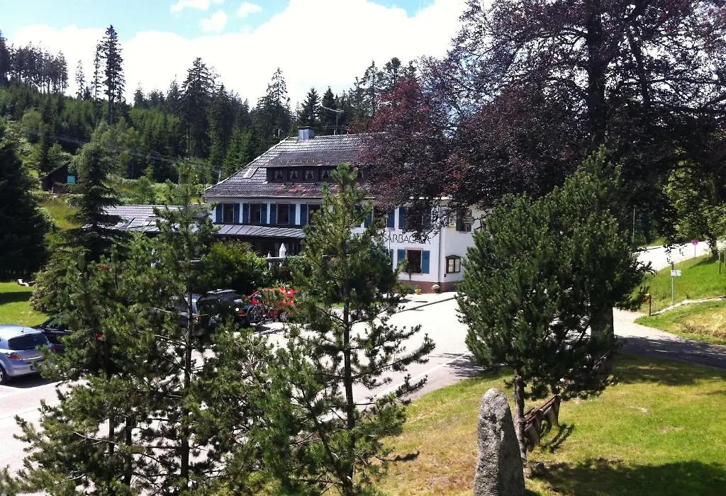 Hotel Sarbacher-1