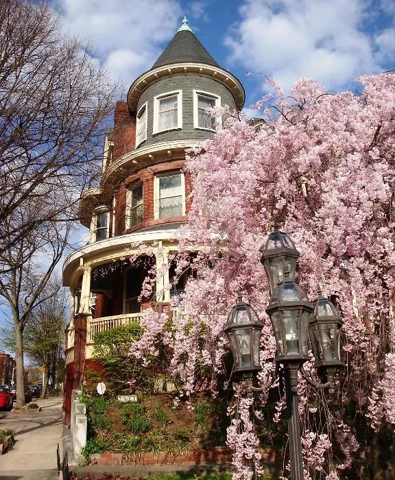 Wilson House Bed & Breakfast-1