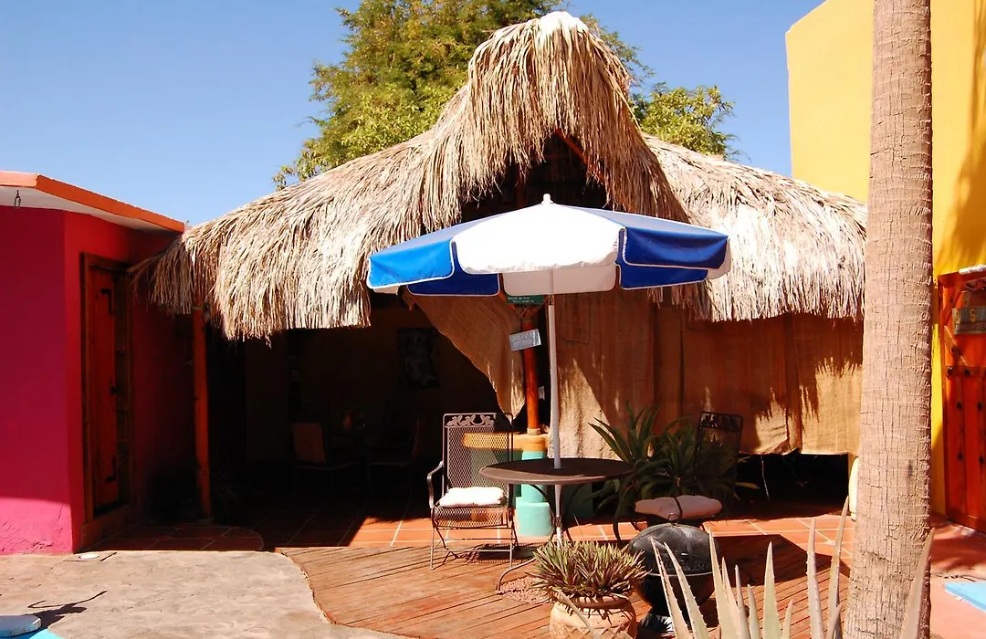 Leo's Baja Oasis-1