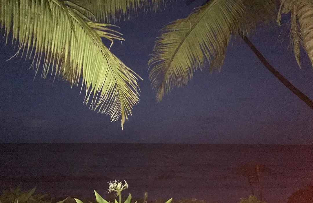 Paradise Beach Bungalows-1