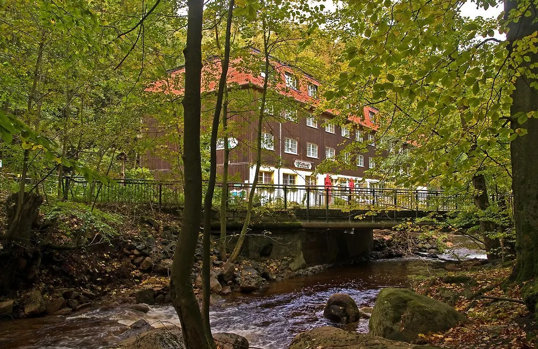 Waldhotel Am Ilsestein-1