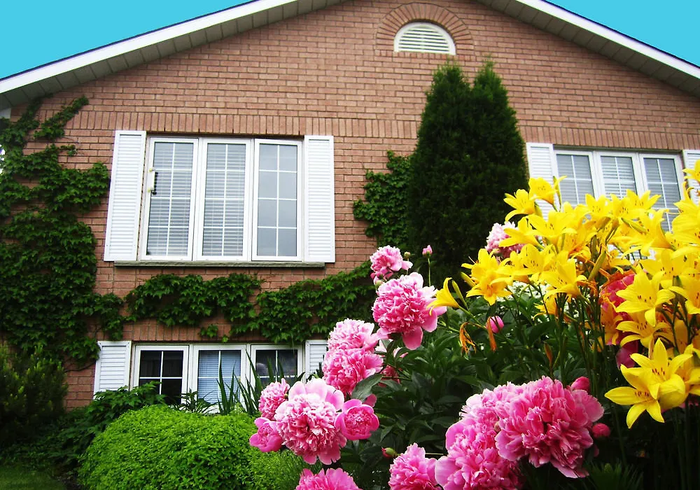 Opus 74 Bed & Breakfast-1