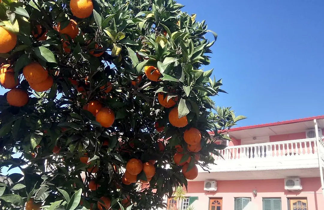 Flamingo Apartments Moraitika Corfu-1