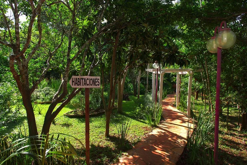 My Hotel Eco Lodge-1