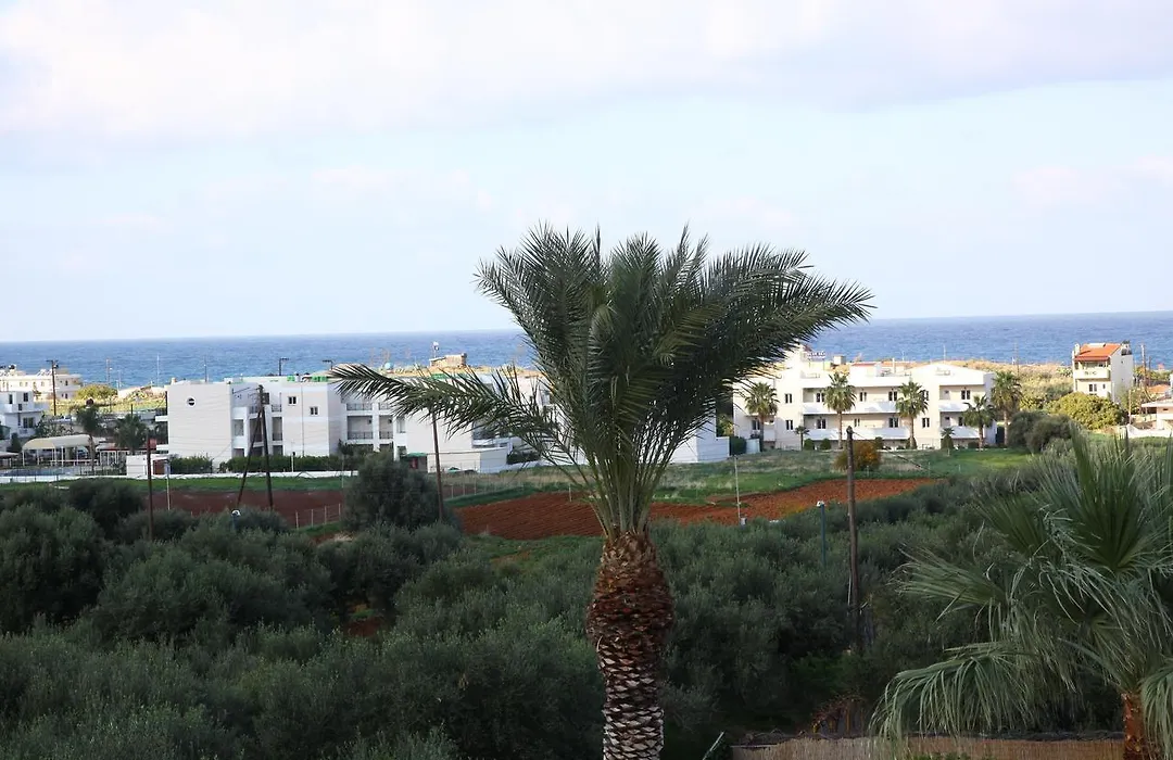 Triton Garden Hotel-1