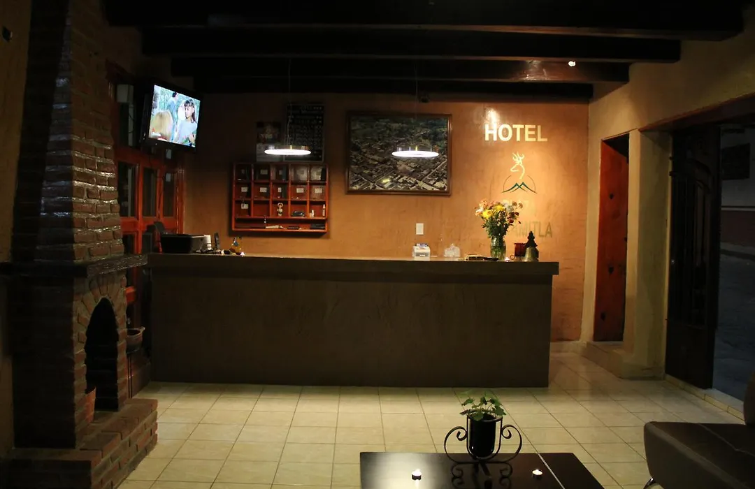 Hotel Plaza Mazamitla-1